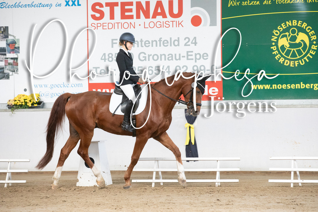 IMG_5910 | photographesa-joergens - Realisiert mit Pictrs.com