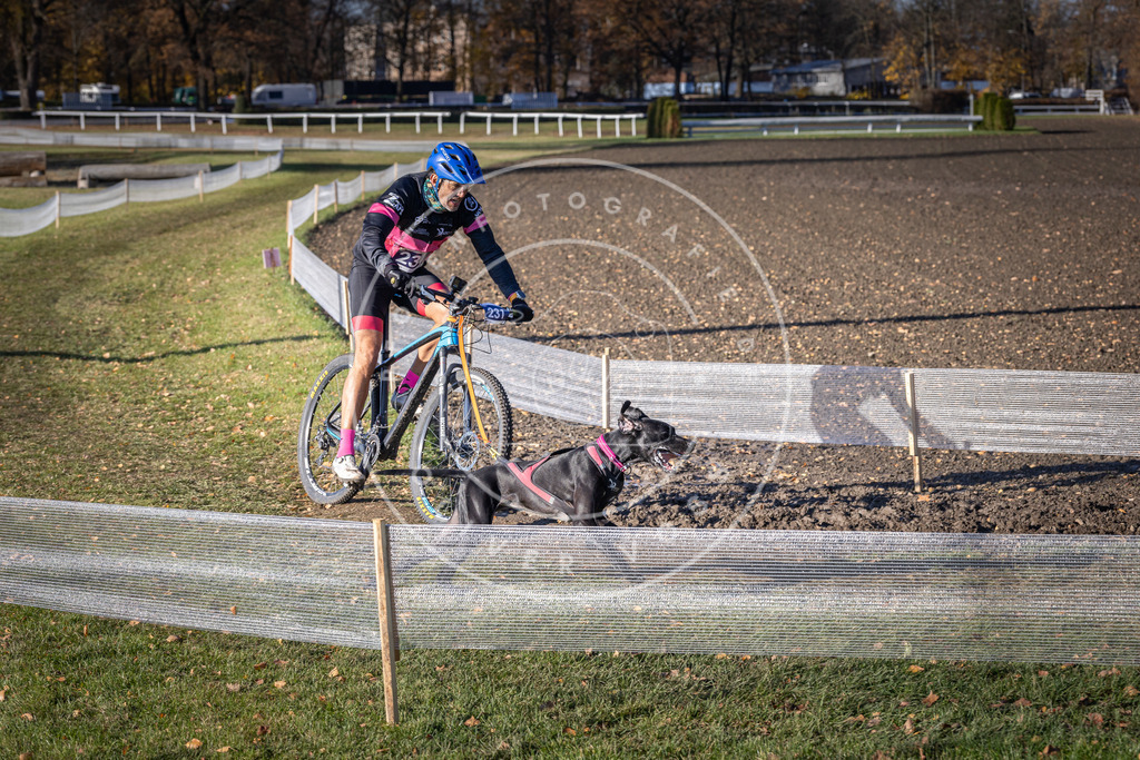 CaniXpix_DV3A3886 | Hundefotografie, Tierfotograf, Pfotenfotografie, Fotoshooting Hund, Hunde Portrait, Hundesport, Hundeportraits, Heideshooting, Hunde, Sportfotograf, Hundefotograf, Turnierhundsport, THS,  - Realisiert mit Pictrs.com