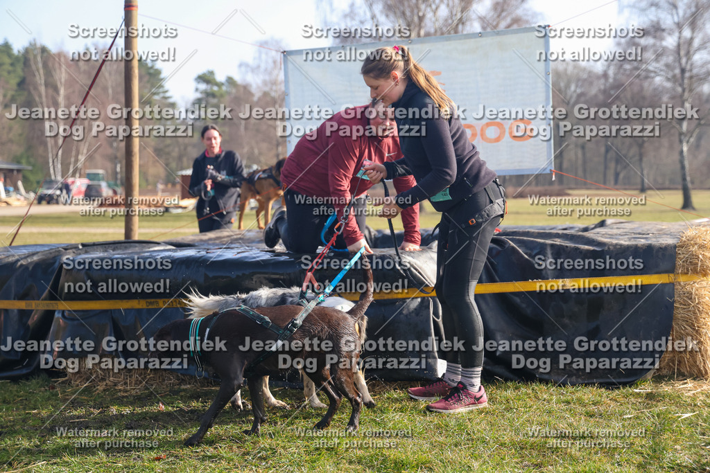 Dog Paparazzi - Strongdog North Mrz26-804 | Dog Paparazzi Jeanette Grottendiek Fotografie & Videografie - Realisiert mit Pictrs.com
