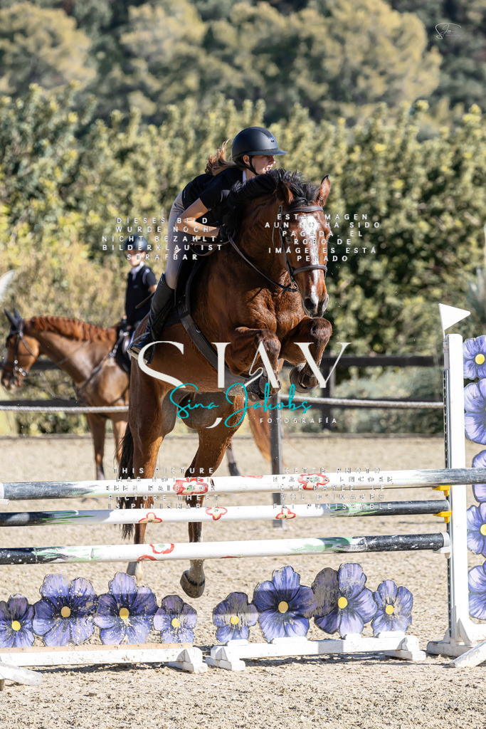 IMG_0755 | s-jay-photography - Realisiert mit Pictrs.com