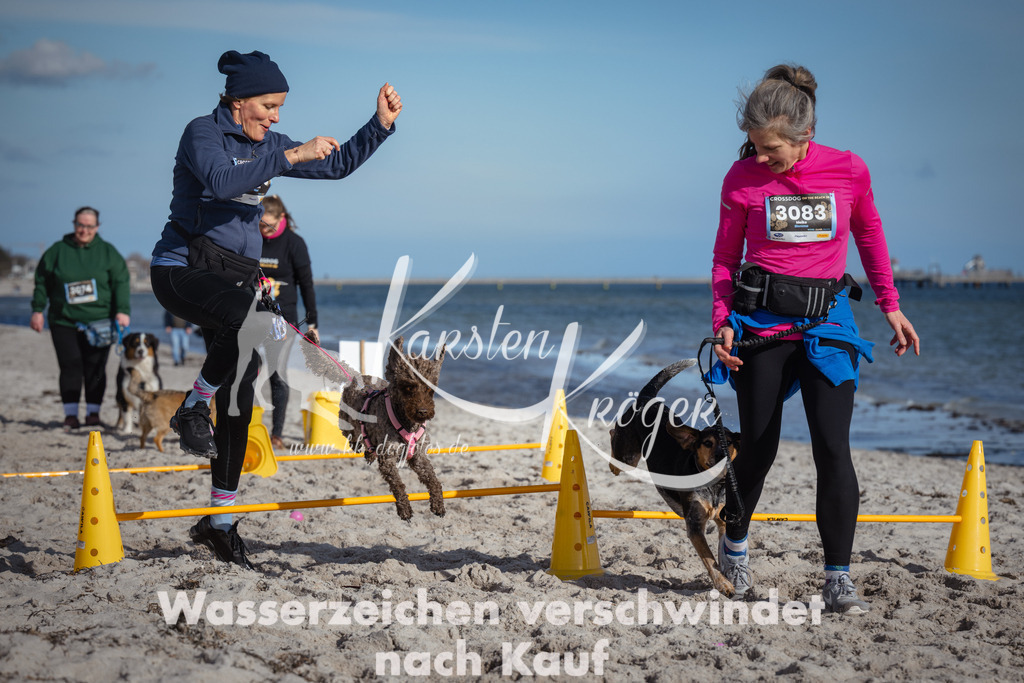 1348_ZZ93758 | kk-dogfotos