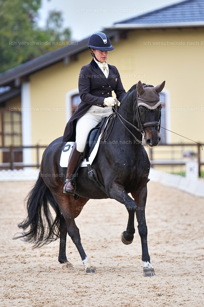 07-191-DRESSUR  S___  -Marixx-5126 | working equitationturnier fotograf videograf stoibphotography marixx film working equitation deutschland reitsport turnierfotografie eventfotografie equestrian events