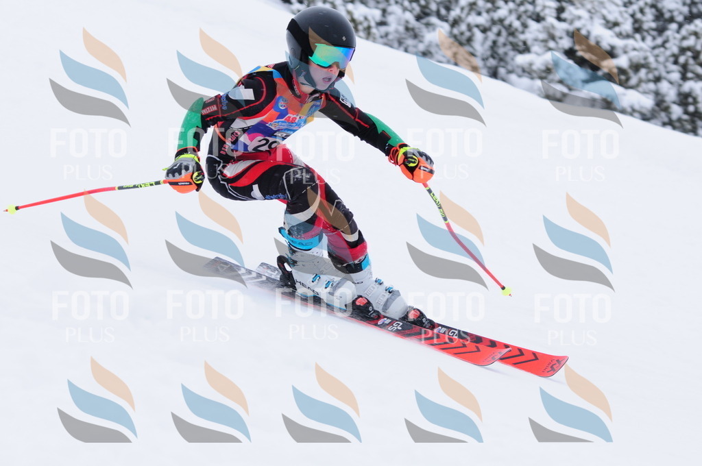 C3115 | holidayphoto