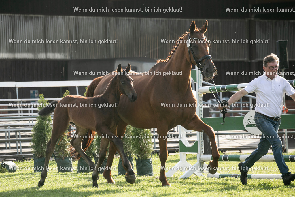 598A7289 | photographylinaismer - Realisiert mit Pictrs.com