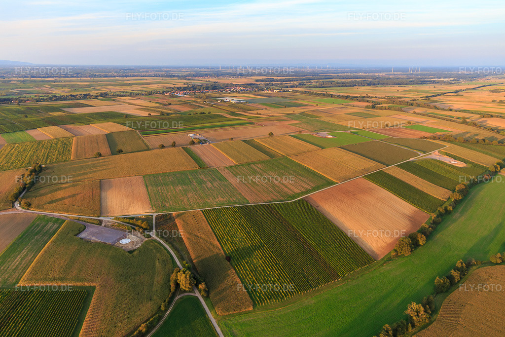 Luftbild: Fundamentgründung des Windparks Freckenfeld der EnBW -für Windenergieanlage mit 6 Windrädern in Freckenfeld im Bundesland Rheinland-Pfalz in Deutschland. Foto: IMG_103576.jpg vom 21.09.2017 durch Werner Riehm/FLY-FOTO.de