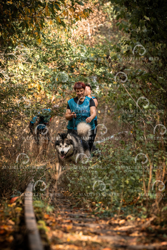madeleinebirr.fotografie.2026.cc.hunsrueck.12-13Uhr.98 | hundefotografie-birr