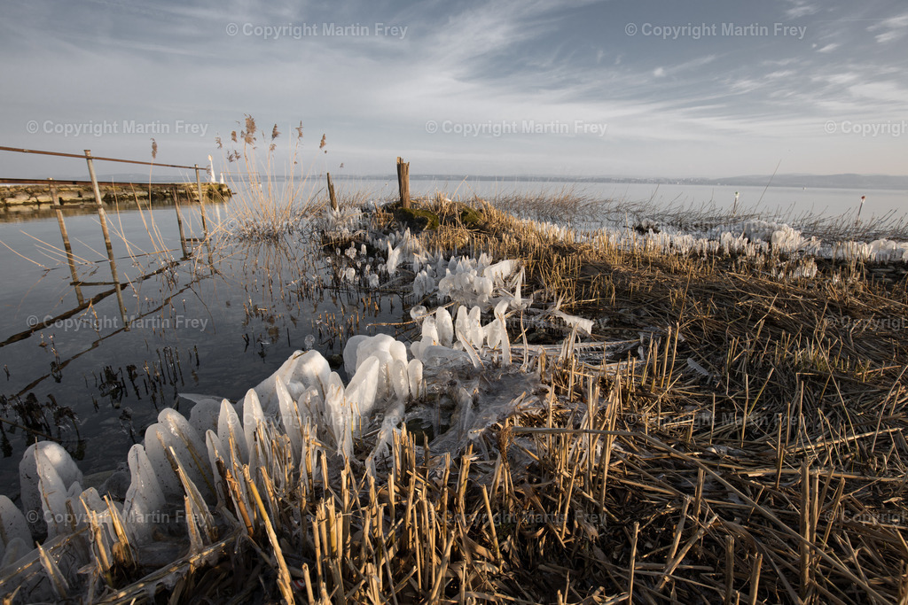 Frozen | Gorgier Nechâtel - Realisiert mit Pictrs.com