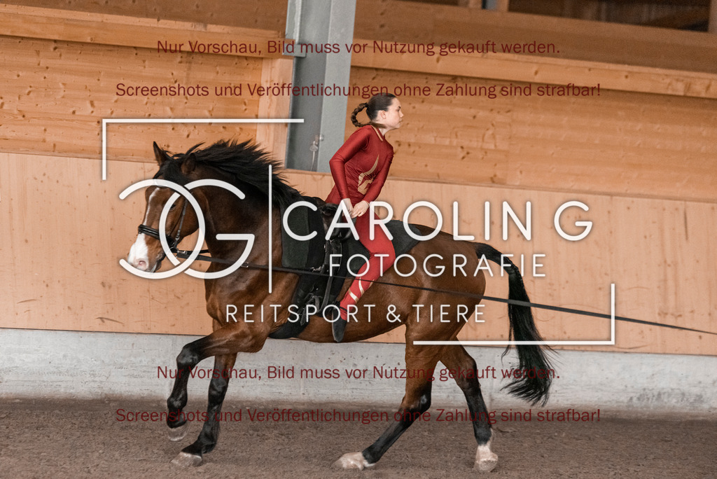 DSC_2004 | Turnierfotografin Carolin Gieschke,Reitsport Turnierfotografie Carolin G Fotografie | Turnierfotos aus Kirchheim/Teck, Esslingen, Stuttgart und dem Bodenseekreis