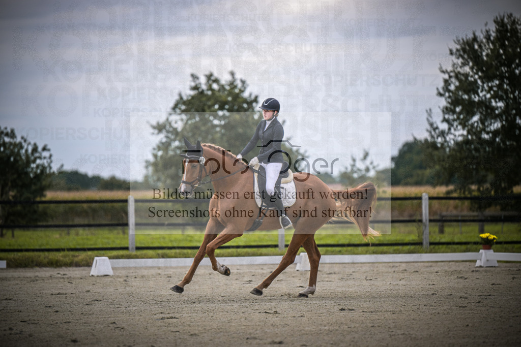 DOS_0351 | Entdecke hochwertige Reitturnierfotos von Foto Oger. Professionell, emotional und authentisch – jetzt Lieblingsmomente im Shop bestellen.Deutschlandweite Turnierfotografie. - Realisiert mit Pictrs.com
