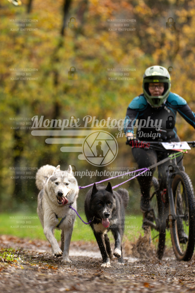 MompixPhotography_Bischwiller23_Bike2-9 | mompixphotography