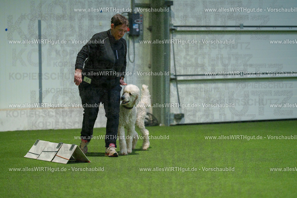 7R505567 | Professionelle Tierfotografie in Mönchengladbach von Daniel Wirth (allesWIRTHgut). Liebevolle & natürliche Bilder von Hunden & Katzen für unvergessliche Erinnerungen.