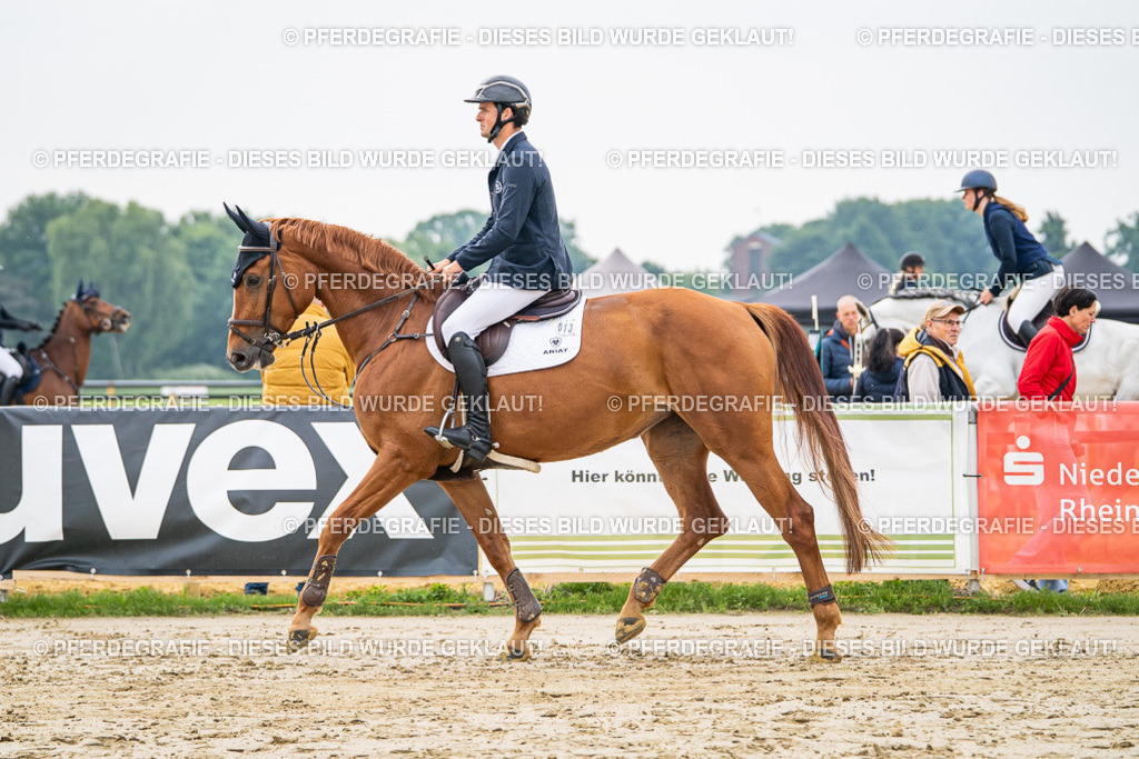 DSC09465 | Pferdegrafie