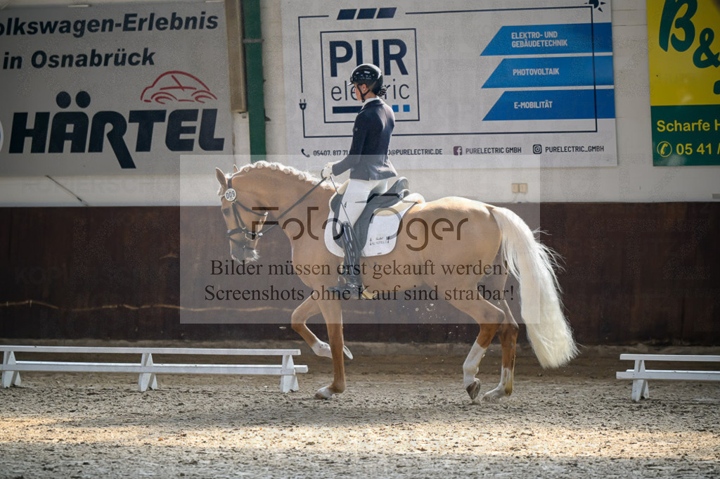 Reitturnier Voxtrup | Entdecke hochwertige Reitturnierfotos von Foto Oger. Professionell, emotional und authentisch – jetzt Lieblingsmomente im Shop bestellen.Deutschlandweite Turnierfotografie. - Realisiert mit Pictrs.com