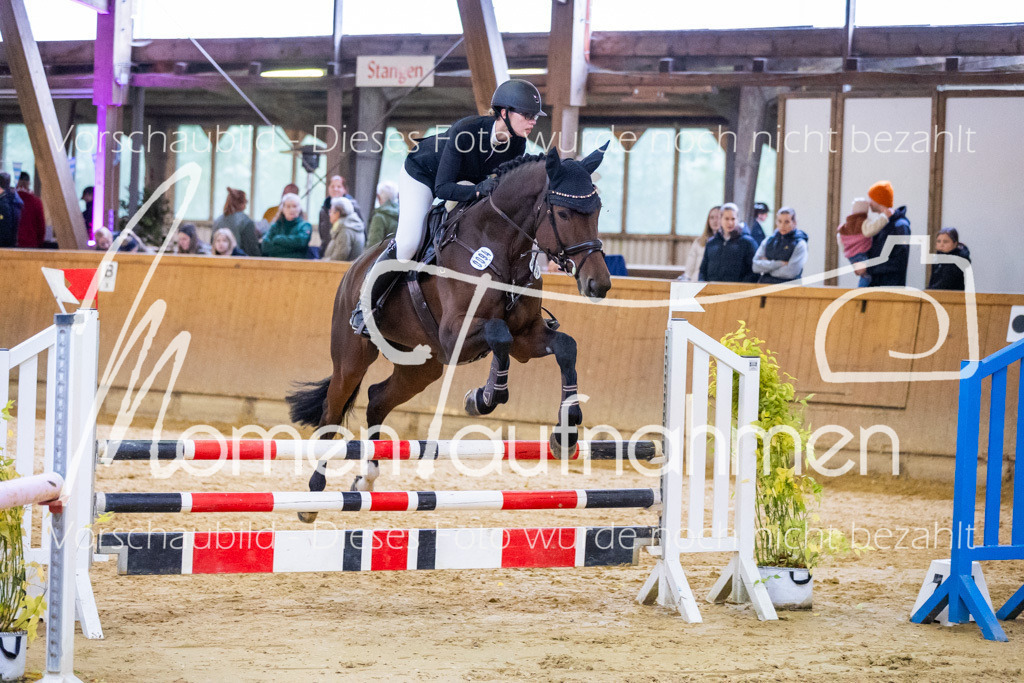 Sth-A-Spr.m.st.A.-046 | MomenTaufnahmen Pferdesportfotos