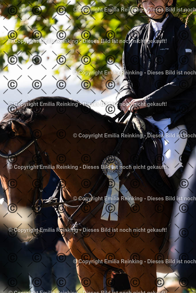 CL5A1395 | Emilia Reinking Fotografie - Realisiert mit Pictrs.com