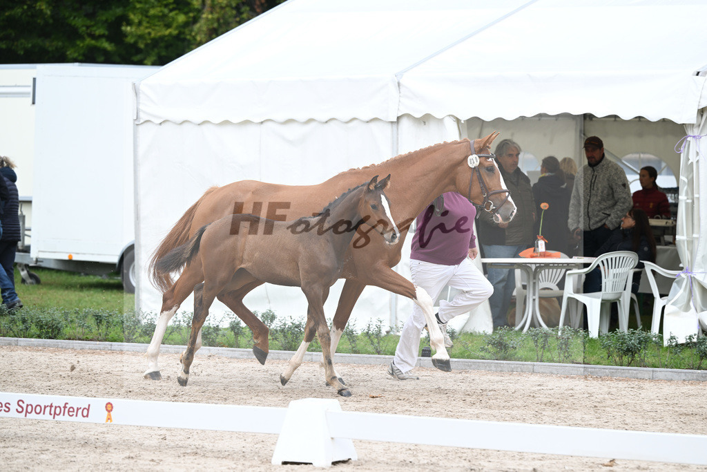 Kat-Nr. 30 Zaira_Mayer_49221015 | hf-fotografie - Realizzato con Pictrs.com