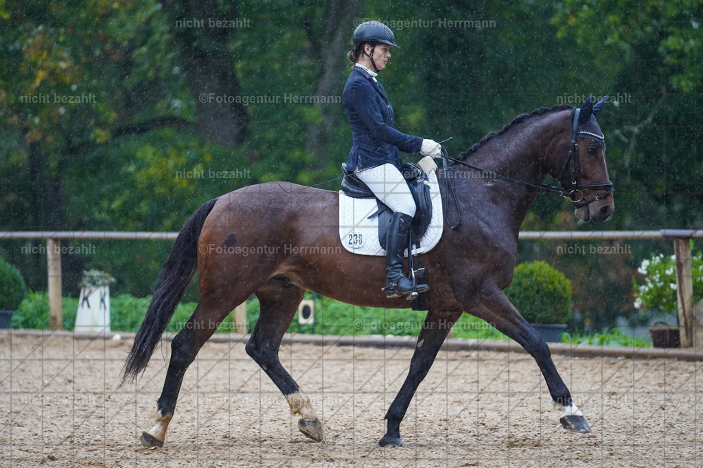 20221008-FAH02108 | Diessen am Ammersee, 2022, Dressur- und Springturnier, Reitsportbilder, Turnierfotografen Bayern, Pferdefotografen, Fotoagentur Herrmann, Turnierbilder