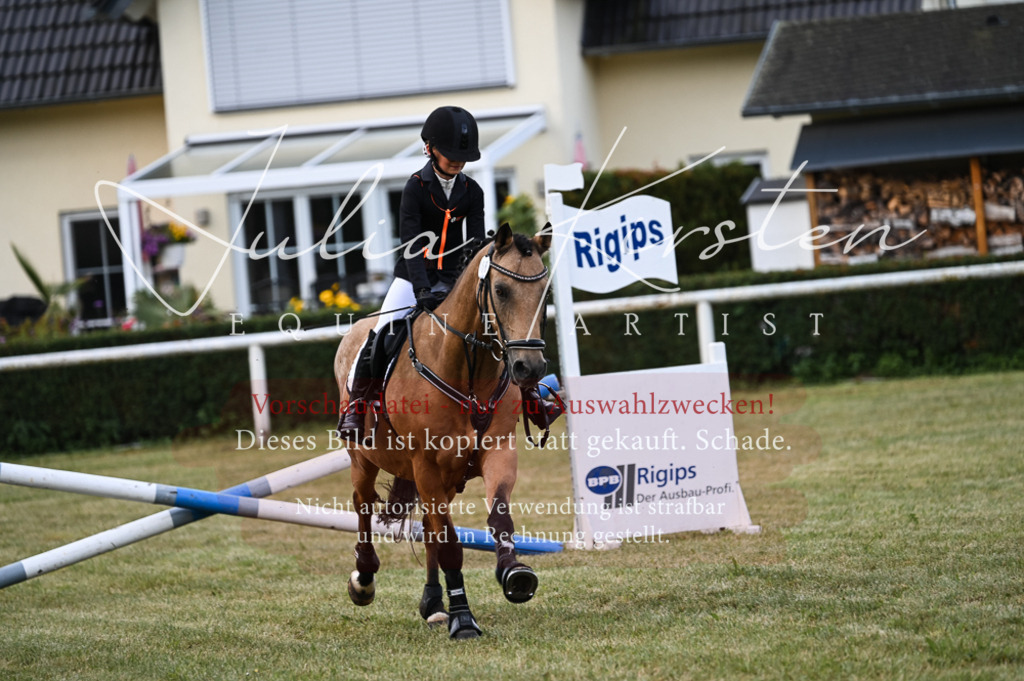DSC_5627 | Pferde- und Turnierfotografie in Westsachsen. Pferdeportraits, Auftragszeichnungen und intuitive Kunst.
