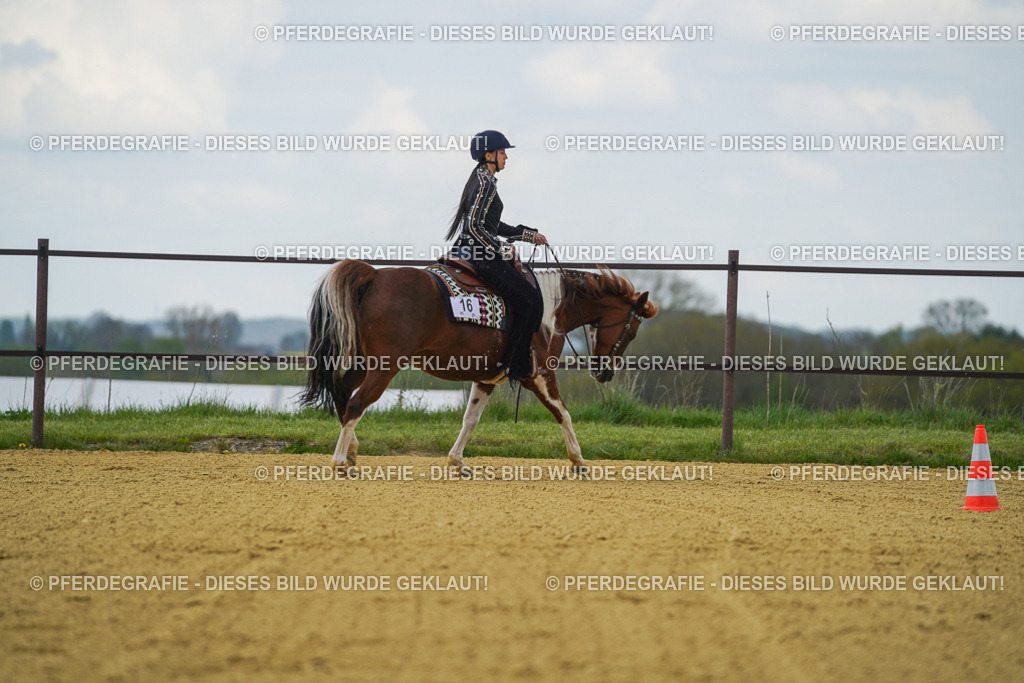 DSC06278 | Pferdegrafie