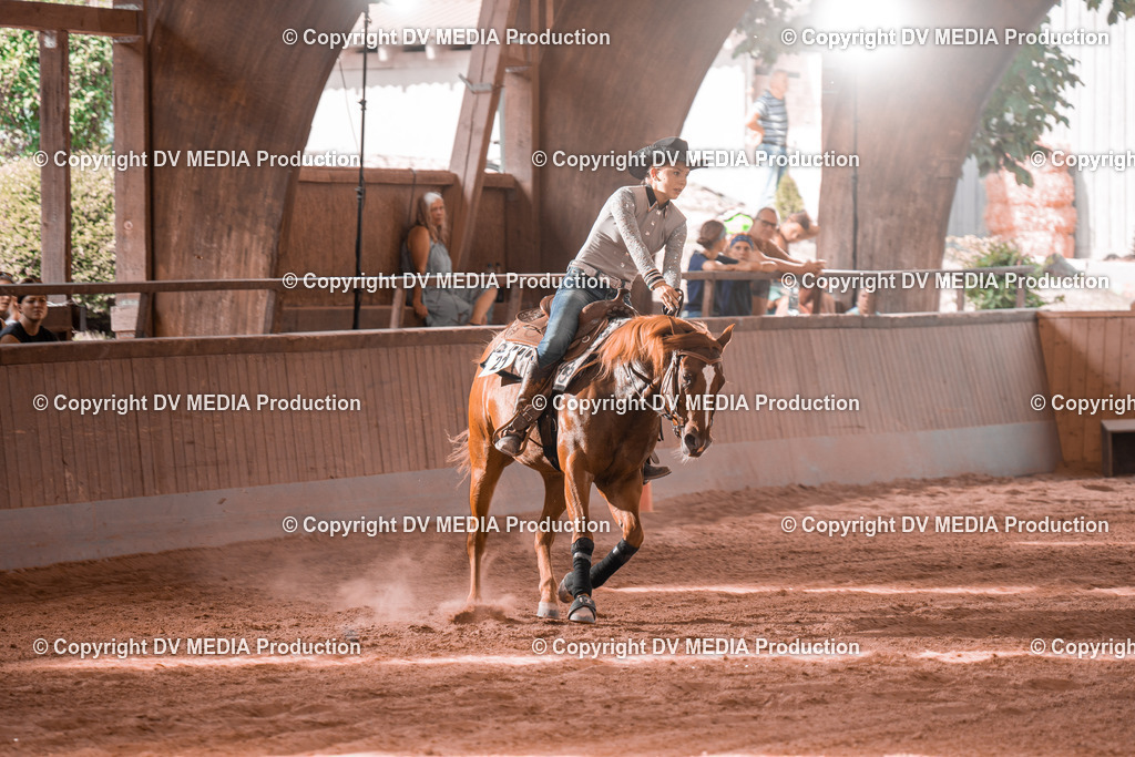 NE300698 | dv-media-shop - Realisiert mit Pictrs.com