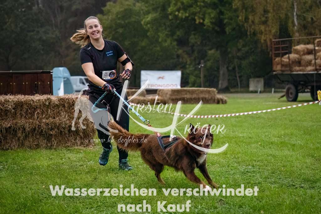 0806-_ZZ90206-Bearbeitet-Bearbeitet | kk-dogfotos