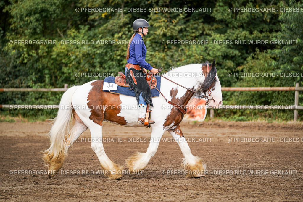 DSC07670 | Pferdegrafie