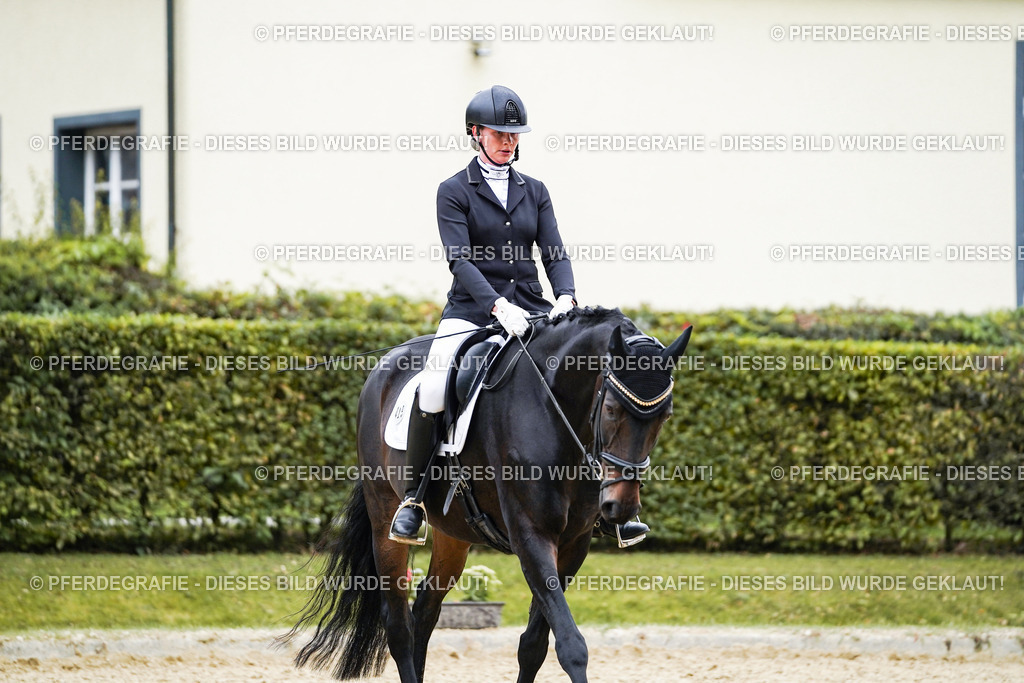 DSC07149 | Pferdegrafie