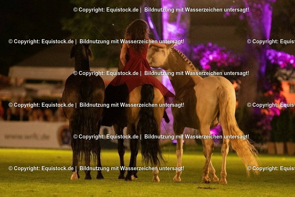 20230526_Pferdenacht_1472 | equistock