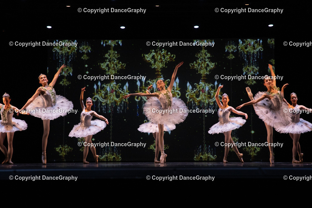 GPHY6943 | DanceGraphy - Realisiert mit Pictrs.com