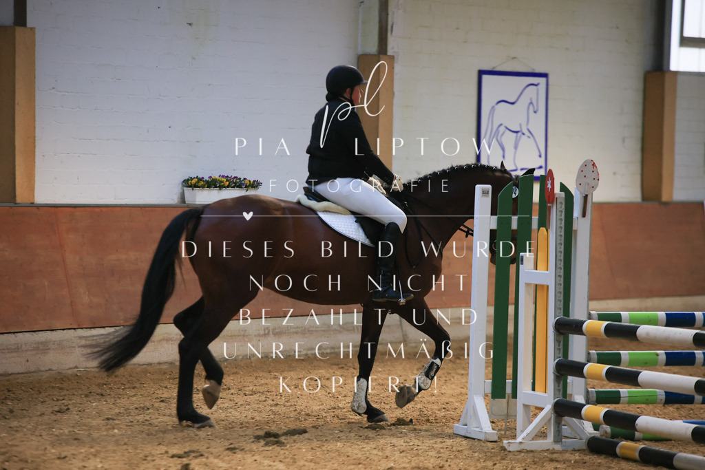 IMGT1645 - Kopie | pl-fotografie