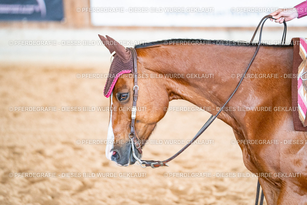 DSC09596 | Pferdegrafie