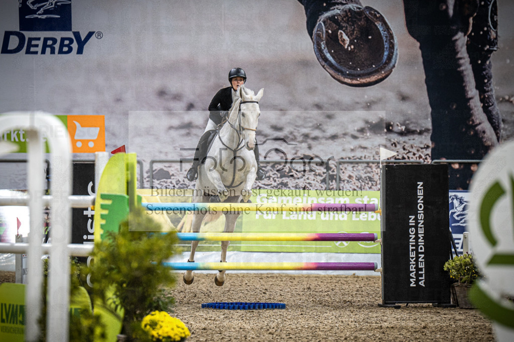DOS_1972 | Entdecke hochwertige Reitturnierfotos von Foto Oger. Professionell, emotional und authentisch – jetzt Lieblingsmomente im Shop bestellen.Deutschlandweite Turnierfotografie. - Realisiert mit Pictrs.com