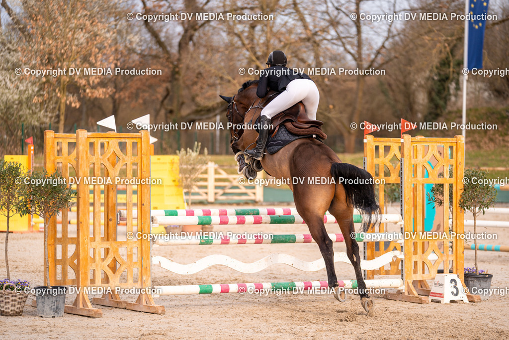 Kranichstein Tag 2-1385 | dv-media-shop - Realisiert mit Pictrs.com