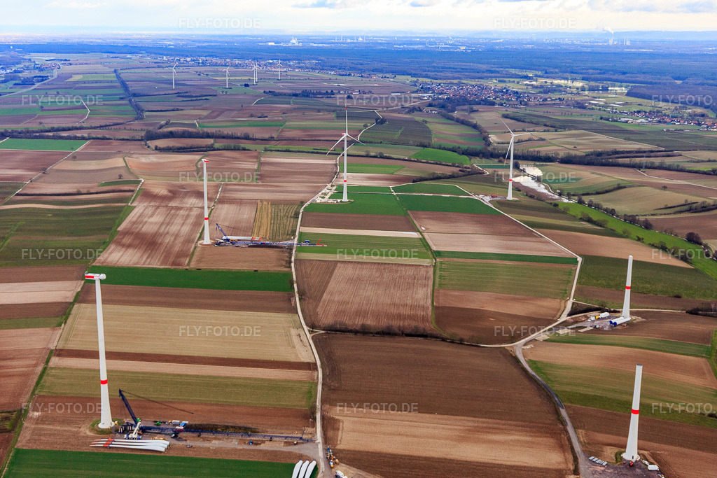 Luftbild: Baustelle des Windparks Freckenfeld der EnBW -für Windenergieanlage mit 6 Windrädern in Freckenfeld im Bundesland Rheinland-Pfalz in Deutschland. Foto: IMG_104668.jpg vom 21.01.2018 durch Werner Riehm/FLY-FOTO.de
