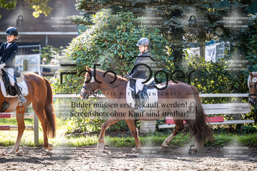 2026-10-Helle-20-4-0005 | Entdecke hochwertige Reitturnierfotos von Foto Oger. Professionell, emotional und authentisch – jetzt Lieblingsmomente im Shop bestellen.Deutschlandweite Turnierfotografie. - Realisiert mit Pictrs.com