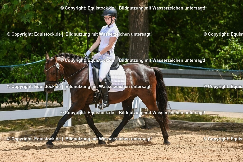 20230715_09_Dressur-WB_0227 | equistock