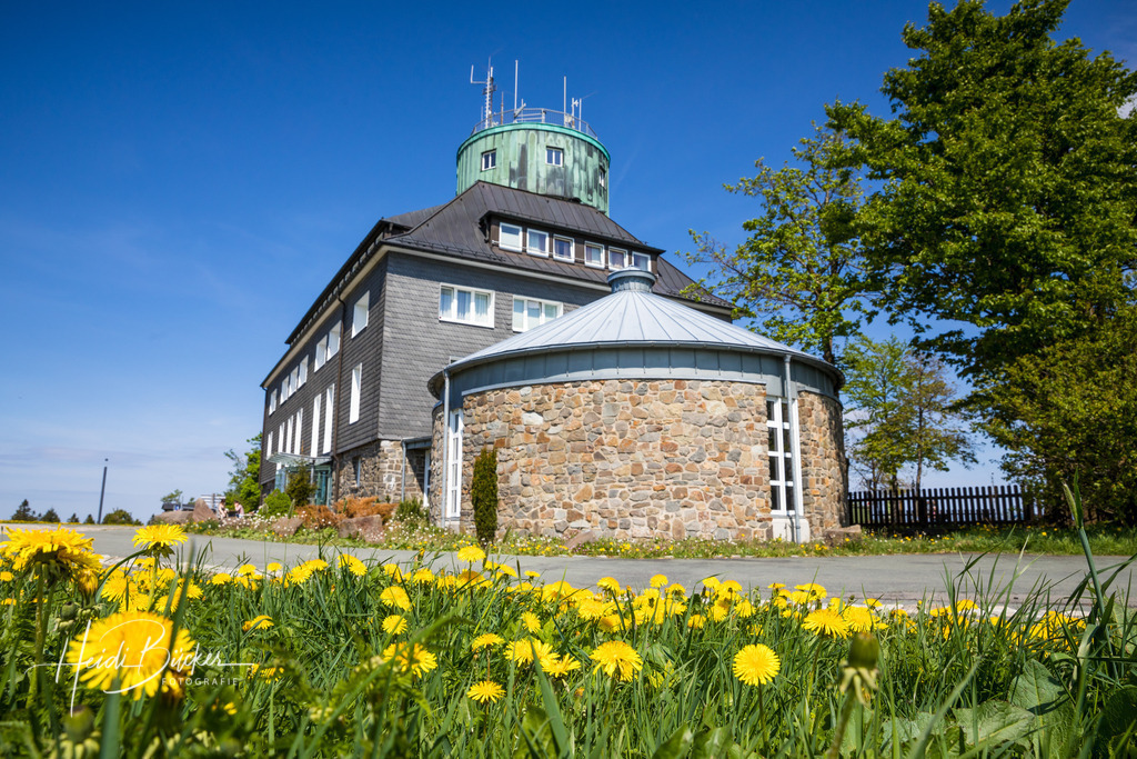 Kahler Asten im Frühling | Frühling auf dem Kahlen Asten bei Winterberg - Realisiert mit Pictrs.com