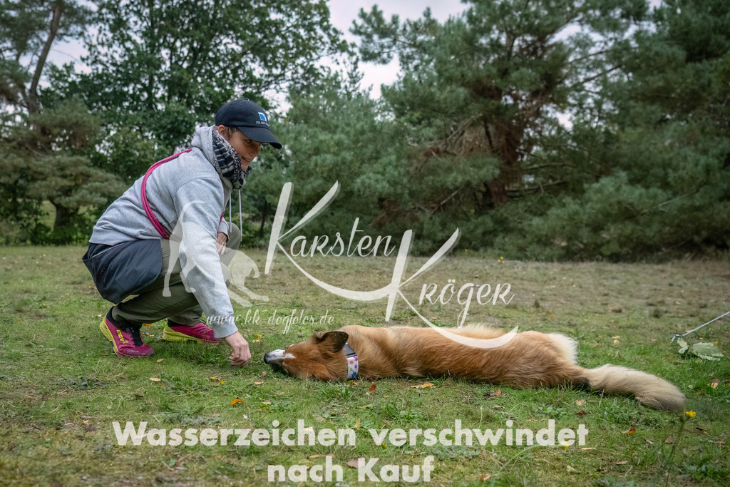 1712_ZZ91018-3-Bearbeitet | kk-dogfotos