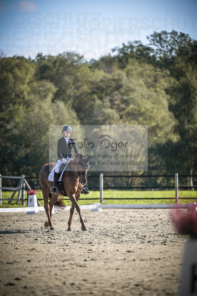 DOS_2975 | Entdecke hochwertige Reitturnierfotos von Foto Oger. Professionell, emotional und authentisch – jetzt Lieblingsmomente im Shop bestellen.Deutschlandweite Turnierfotografie. - Realisiert mit Pictrs.com