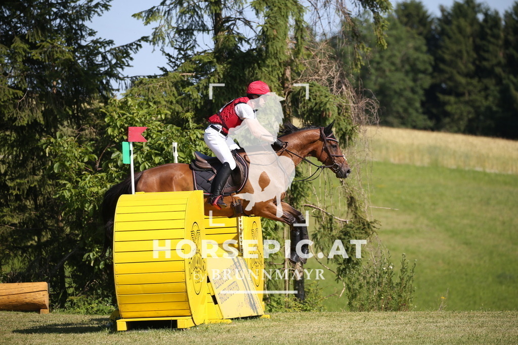 DL2Q2052 | Willkommen bei Brunnmayr - Design & Fotografie – Ihrem Spezialisten für Reitturniere und Pferdeveranstaltungen in Oberösterreich, Salzburg und Bayern! Seit über 17 Jahren sind wir leidenschaftlich dabei.