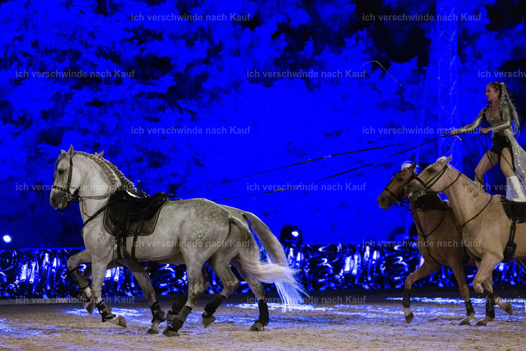 Gala-340 | working equitationturnier fotograf videograf stoibphotography marixx film working equitation deutschland reitsport turnierfotografie eventfotografie equestrian events