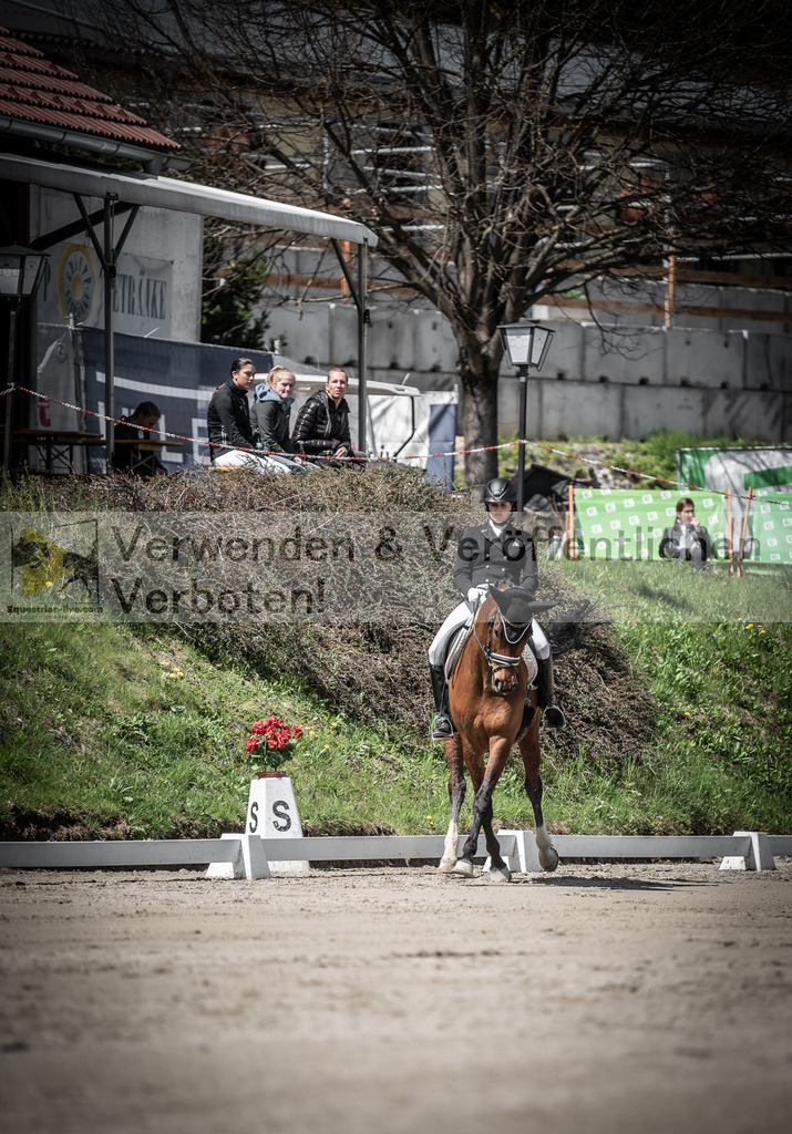 DSC_2091 | equestrian-live-com
