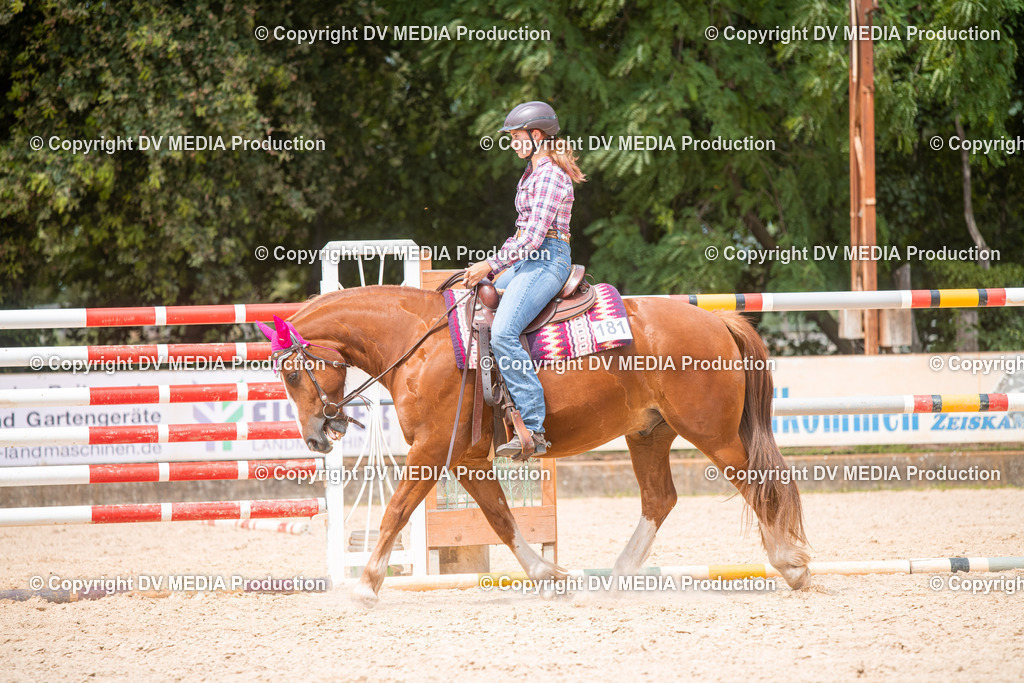 EWP_6565 | dv-media-shop - Realisiert mit Pictrs.com