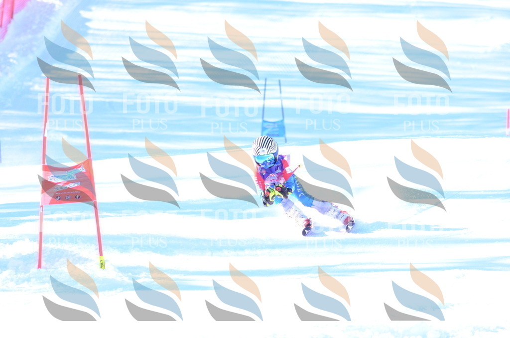 B2982 | holidayphoto