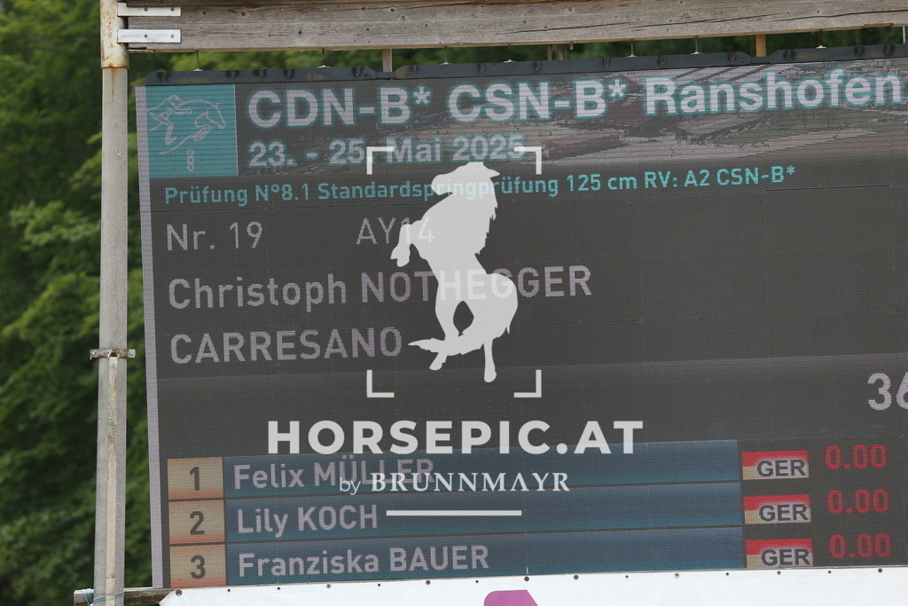 DL2Q2334 | Willkommen bei Brunnmayr - Design & Fotografie – Ihrem Spezialisten für Reitturniere und Pferdeveranstaltungen in Oberösterreich, Salzburg und Bayern! Seit über 17 Jahren sind wir leidenschaftlich dabei.