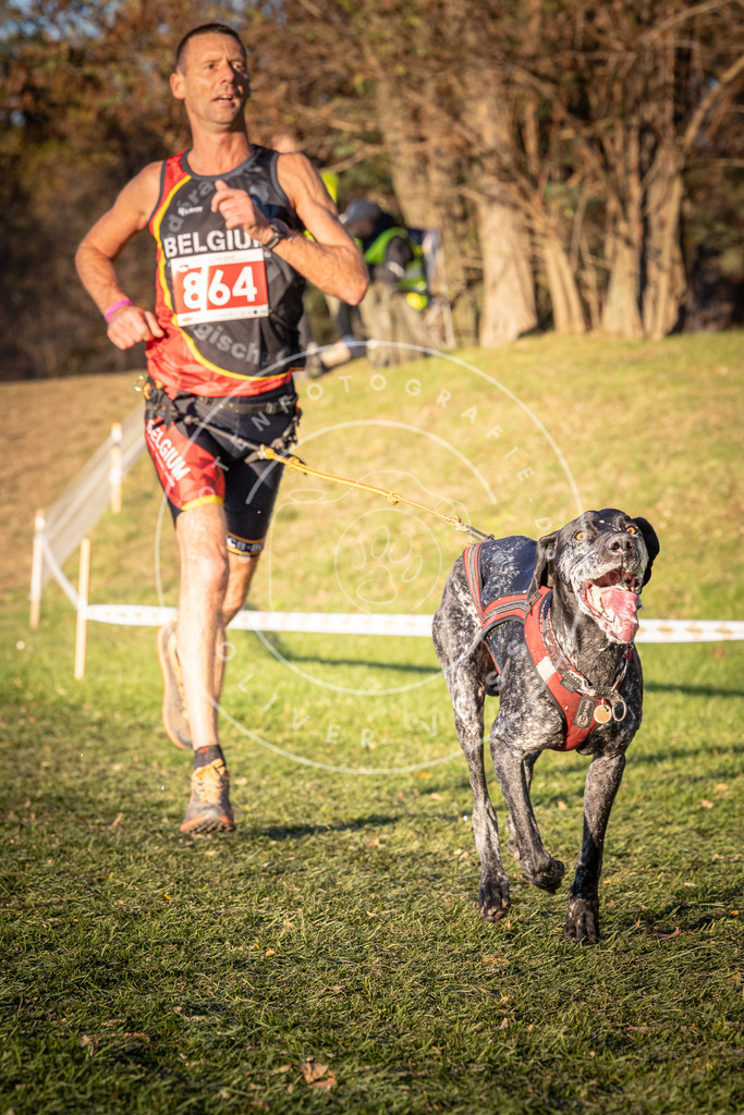 CaniXpix_0L8A0986 | Hundefotografie, Tierfotograf, Pfotenfotografie, Fotoshooting Hund, Hunde Portrait, Hundesport, Hundeportraits, Heideshooting, Hunde, Sportfotograf, Hundefotograf, Turnierhundsport, THS,  - Realisiert mit Pictrs.com