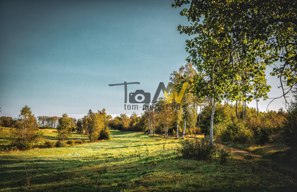 Ein idyllischer toller Wanderweg im Harz--------Hexensteig | Hochauflösende und hochwertige Bilder und Fotos.Kommerzielle oder private Nutzung ✔ Bilder downloaden✔ Acryl ✔ Leinwand ✔ Poster ✔
 - Realisiert mit Pictrs.com