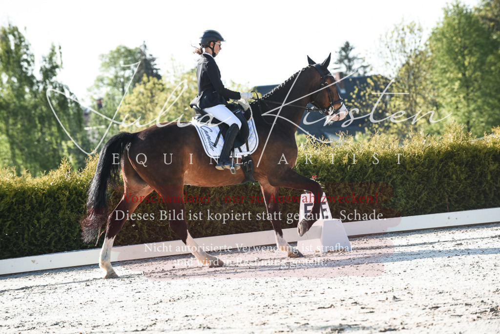 20230518_JK-Röhrsdorf-09-0483 | Pferde- und Turnierfotografie in Westsachsen. Pferdeportraits, Auftragszeichnungen und intuitive Kunst.