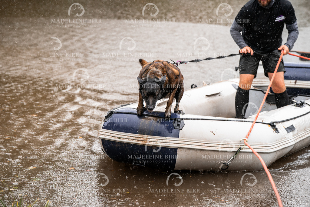 madeleinebirr-fotografie2025.campcanis.11-12Uhr-404 | hundefotografie-birr