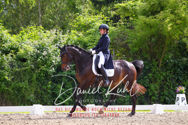 DKP41465 | Turnierfotos kaufen im Webshop von Daniel Kuhl Photography – entdecke professionelle Reitsportfotos aus Turnieren & Events. Hochwertige Turnierbilder online bestellen & sichern. Jetzt Fotos von Reitsportturnieren kaufen!